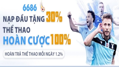 6686 - Thiên đường cá cược với hàng ngàn trò chơi đặc sắc